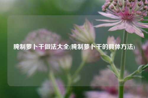 腌制萝卜干做法大全(腌制萝卜干的具体方法)