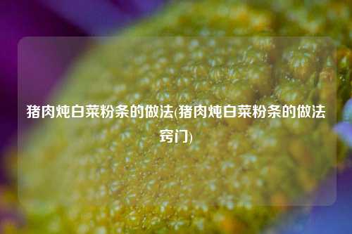 猪肉炖白菜粉条的做法(猪肉炖白菜粉条的做法窍门)