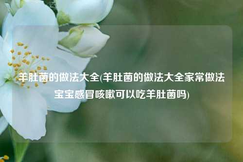 羊肚菌的做法大全(羊肚菌的做法大全家常做法宝宝感冒咳嗽可以吃羊肚菌吗)