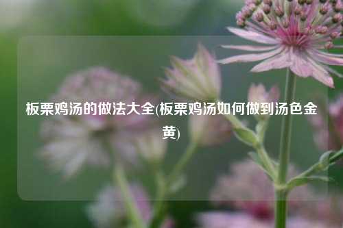 板栗鸡汤的做法大全(板栗鸡汤如何做到汤色金黄)