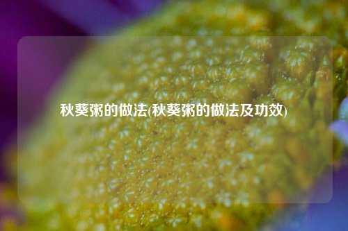 秋葵粥的做法(秋葵粥的做法及功效)