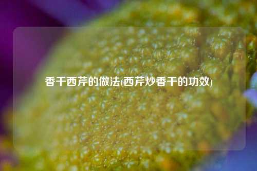 香干西芹的做法(西芹炒香干的功效)