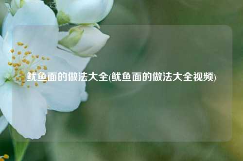 鱿鱼面的做法大全(鱿鱼面的做法大全视频)