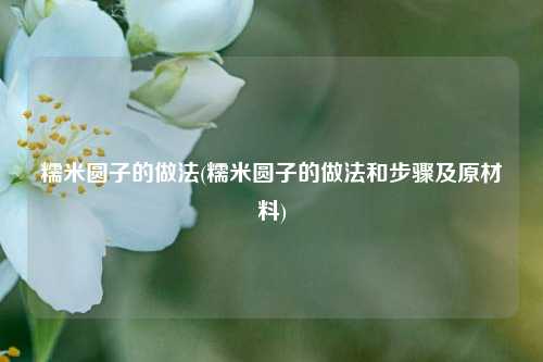 糯米圆子的做法(糯米圆子的做法和步骤及原材料)