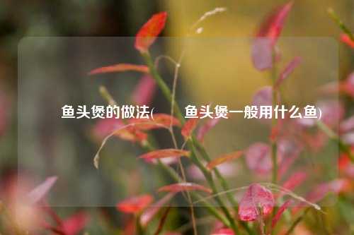 啫啫鱼头煲的做法(啫啫鱼头煲一般用什么鱼)