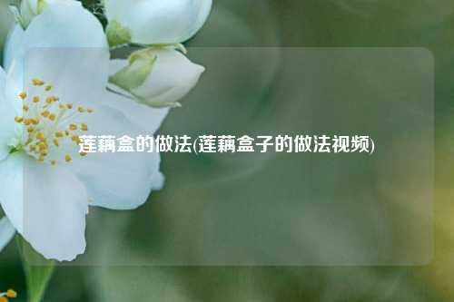 莲藕盒的做法(莲藕盒子的做法视频)