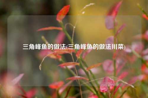 三角峰鱼的做法(三角峰鱼的做法川菜)