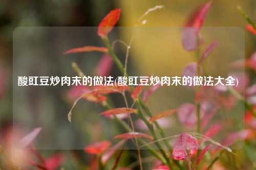 酸豇豆炒肉末的做法(酸豇豆炒肉末的做法大全)