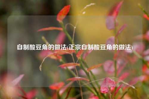 自制酸豆角的做法(正宗自制酸豆角的做法)
