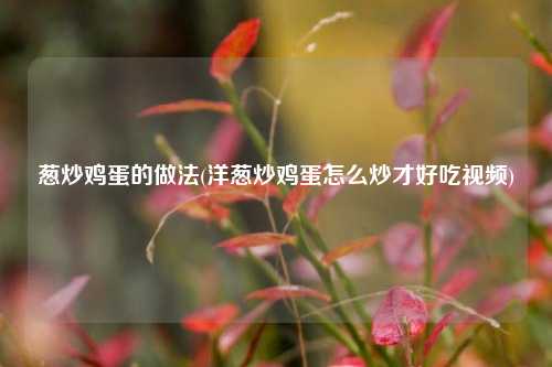 葱炒鸡蛋的做法(洋葱炒鸡蛋怎么炒才好吃视频)
