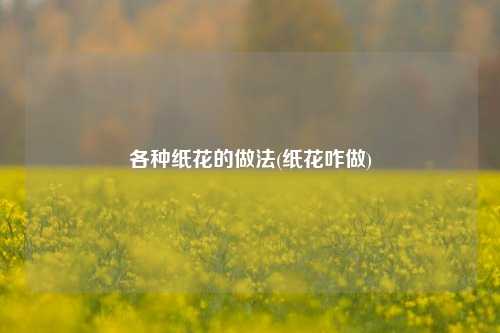 各种纸花的做法(纸花咋做)