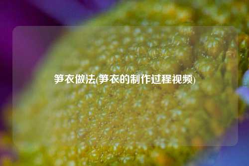 笋衣做法(笋衣的制作过程视频)