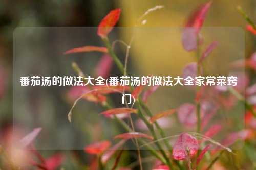 番茄汤的做法大全(番茄汤的做法大全家常菜窍门)