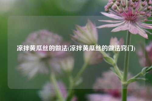 凉拌黄瓜丝的做法(凉拌黄瓜丝的做法窍门)